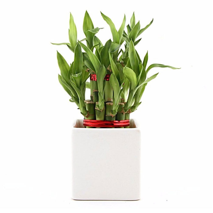 Apple Cinema 30" Apple Cinema 30"